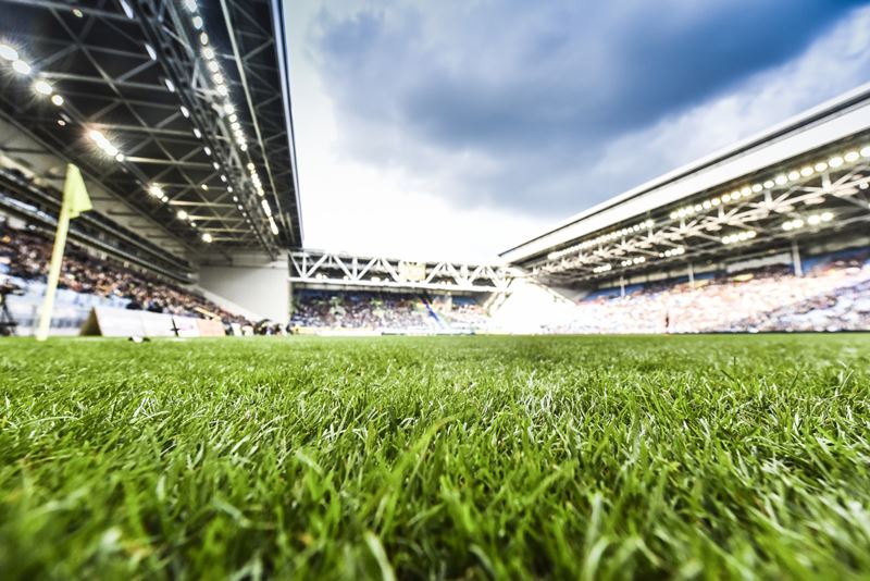 Vitesse Gelredome Stadium Greenfields